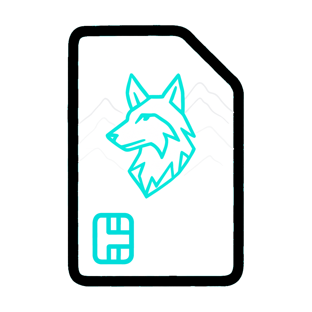 Spain-SIM-Card-Explorer-International-Wolvify