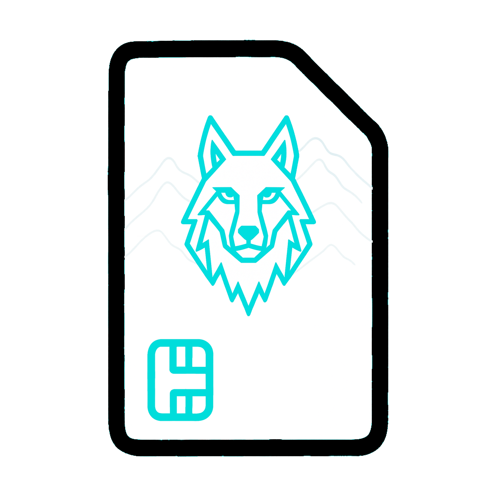 Spain-SIM-Card-Pathfinder-Wolvify
